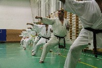 Kihon, kata