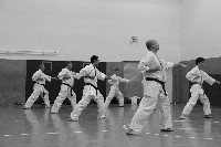 Kihon, kata