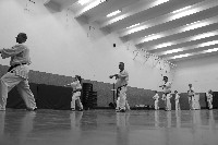 Kihon, kata
