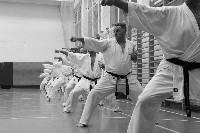 Kihon, kata
