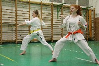 Kihon, kata