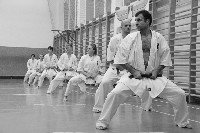 Kihon, kata
