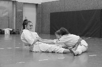 Kihon, kata