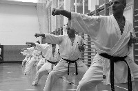 Kihon, kata