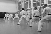 Kihon, kata