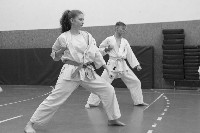 Kihon, kata