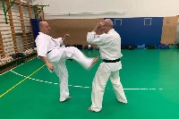 Sensei Gottfried Sándor oktatott a Seishin Dojoban