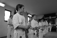 Seishin SE VIII. Edzőtábora