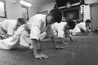 Seishin SE VIII. Edzőtábora