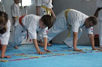 Seishin SE VIII. Edzőtábora