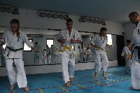 Seishin SE VIII. Edzőtábora