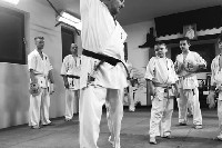 Seishin SE VIII. Edzőtábora