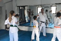 Seishin SE VIII. Edzőtábora
