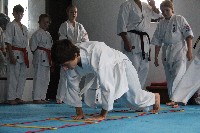 Seishin SE VIII. Edzőtábora