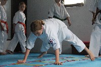 Seishin SE VIII. Edzőtábora