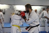 Seishin SE VIII. Edzőtábora