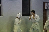 Seishin SE VIII. Edzőtábora