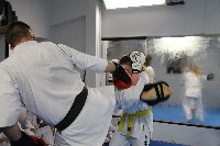 Seishin SE VIII. Edzőtábora