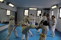 Seishin SE VIII. Edzőtábora