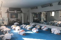 Seishin SE VIII. Edzőtábora
