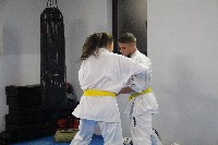 Seishin SE VIII. Edzőtábora