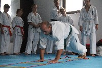 Seishin SE VIII. Edzőtábora