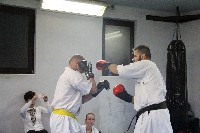 Seishin SE VIII. Edzőtábora
