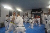 Seishin SE VIII. Edzőtábora