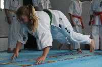 Seishin SE VIII. Edzőtábora