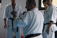 Seishin SE VIII. Edzőtábora