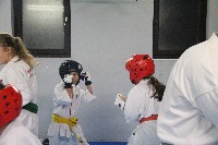Seishin SE VIII. Edzőtábora