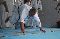 Seishin SE VIII. Edzőtábora