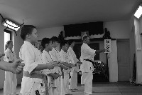 Seishin SE VIII. Edzőtábora
