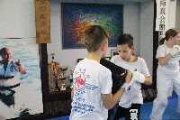 Seishin SE VIII. Edzőtábora