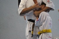 Seishin SE VIII. Edzőtábora