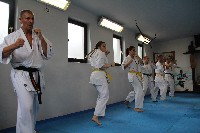 Seishin SE VIII. Edzőtábora