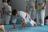 Seishin SE VIII. Edzőtábora