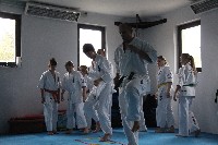 Seishin SE VIII. Edzőtábora