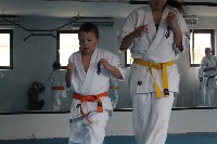 Seishin SE VIII. Edzőtábora
