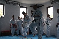 Seishin SE VIII. Edzőtábora
