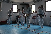 Seishin SE VIII. Edzőtábora