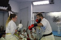 Seishin SE VIII. Edzőtábora