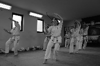 Seishin SE VIII. Edzőtábora