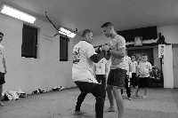 Seishin SE VIII. Edzőtábora